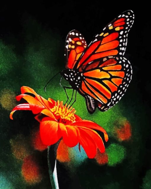 Colorful Butterfly On Flower paint by numbers