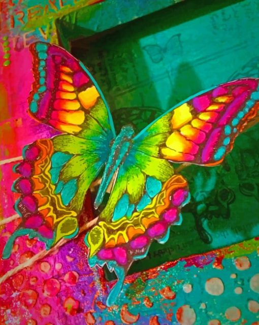 Colorful Butterfly Insect paint by numbers