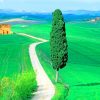 Country Road Tuscany Italy paint by numbers