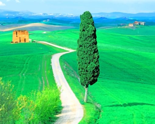 Country Road Tuscany Italy paint by numbers