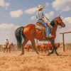 Cowgirl On Stallion Horse paint by numbers