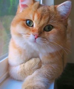 Cute Cat With Green Eyes paint by numbers