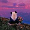 Cute Panda Watching The Sunset paint by numbers