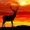 Deer Silhouette In Sunset paint by numbers