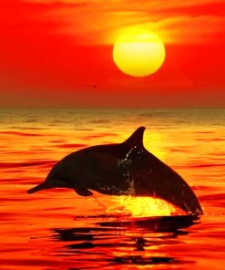 Dolphin Jumping Out Of Water At Sunset paint by numbers