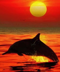 Dolphins At Sunset paint by numbers