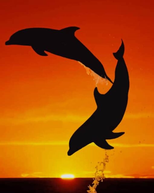 Dolphins Jumping In The Sunset paint by numbers