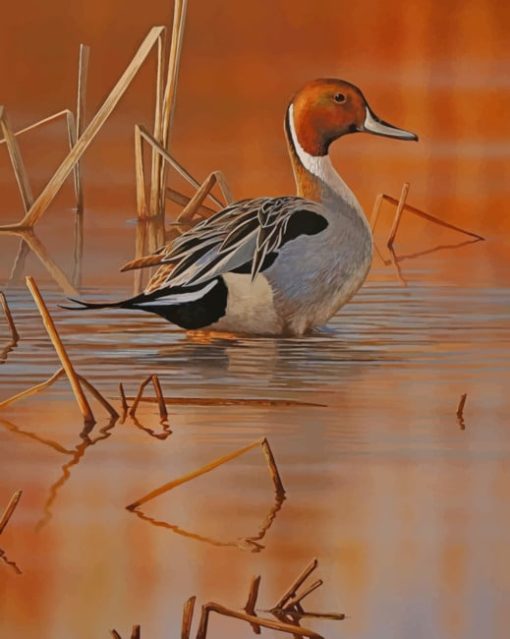 Duck In River paint by numbers