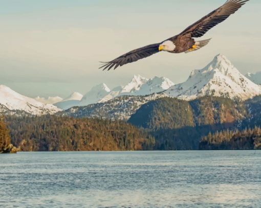 Eagle Flying Over Mountains And Lake paint by numbers