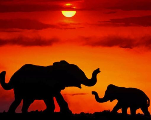 Elephants At The Sunset paint by numbers