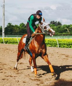 Equestrian Riding Horse On field paint by numbers