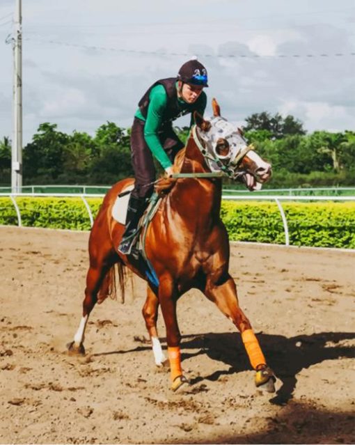 Equestrian Riding Horse On field paint by numbers