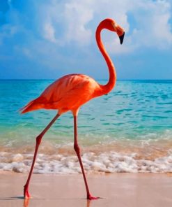 Flamingo In The Beach paint by numbers