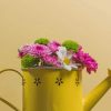 Flowers In Yellow Watering Can paint by numbers