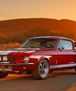 Ford Mustang Classic Shelby paint by numbers