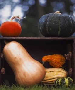 Gourds In Crate paint by numbers