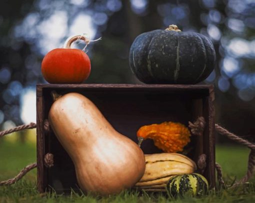 Gourds In Crate paint by numbers