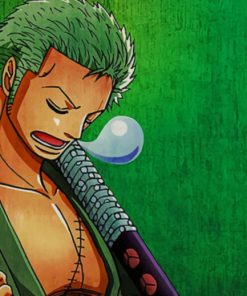 One Piece Roronoa Zoro paint by numbers