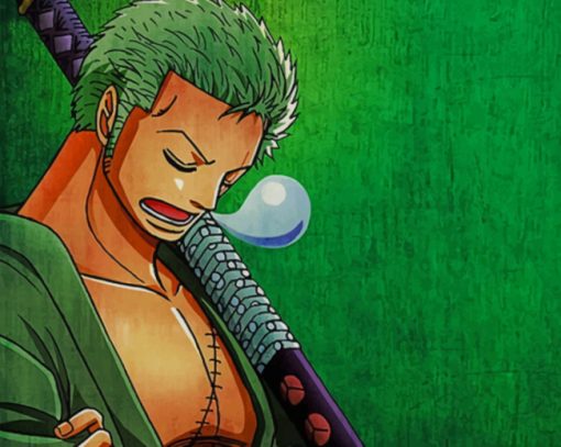 One Piece Roronoa Zoro paint by numbers