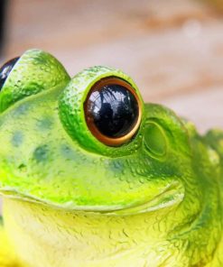 Green Peacock Tree Frog paint by numbers