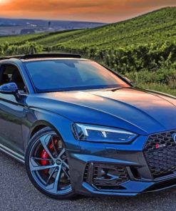 Grey AUDI RS5 paint by numbers