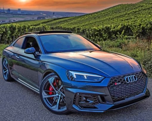 Grey AUDI RS5 paint by numbers