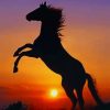 Horse At Sunset paint by numbers