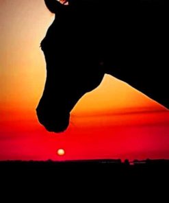 Horse Silhouette At Sunset paint by numbers