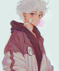 Hunter X Hunter killua paint by numbers