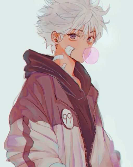 Hunter X Hunter killua paint by numbers