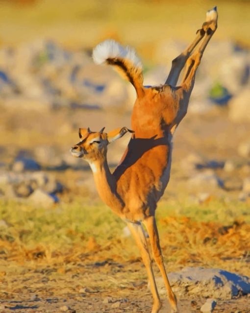 Impala Jumping paint by numbers