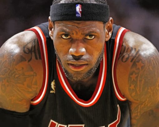 Lebron James Nba Player paint by numbers