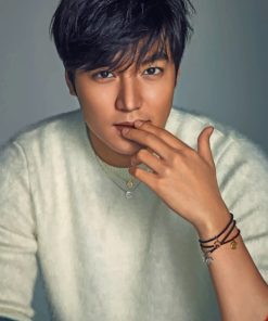 Lee Min Ho Portrait paint by numbers