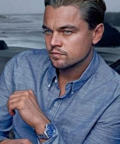 Leonardo Dicaprio paint by numbers