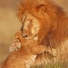 Lion Father And Son paint by numbers