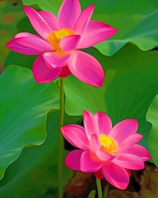 Lotus Flowers paint by numbers