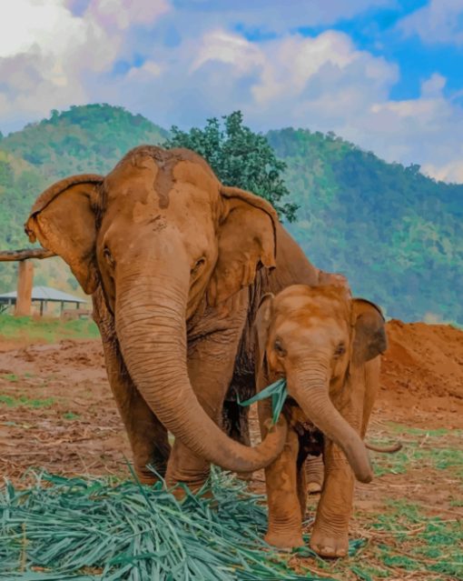 Mommy And Baby Elephant paint by numbers