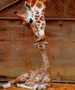 Mommy And Baby Giraffe paint by numbers