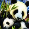 Mommy And Baby Panda paint by numbers