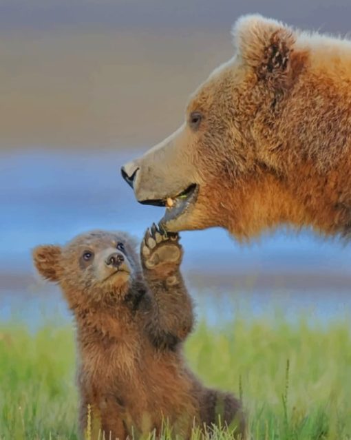 Mommy And Bear Cub Bear paint by numbers