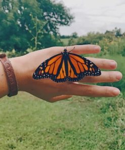 Monarch Butterfly On Hand paint by numbers