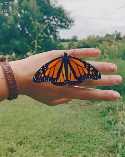 Monarch Butterfly On Hand paint by numbers