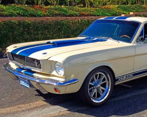 Mustang Fastback Gt500 paint by numbers