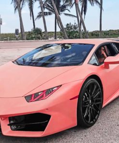 Pink Lamborghini paint by numbers