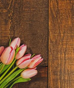 Pink Tulips On Wood Texture paint by numbers