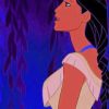 Pocahontas Disney Animation paint by numbers