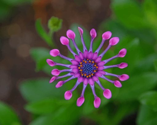 Purple Flower With Leaves paint by numbers