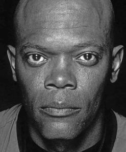 Samuel L Jackson Portrait paint by numbers