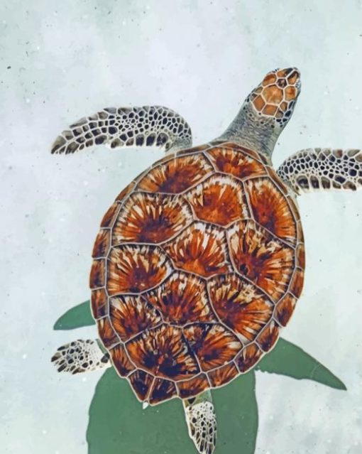 Sea Turtle In The Beach paint by numbers