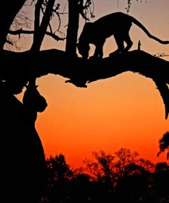 Silhouette Of Leopard paint by numbers